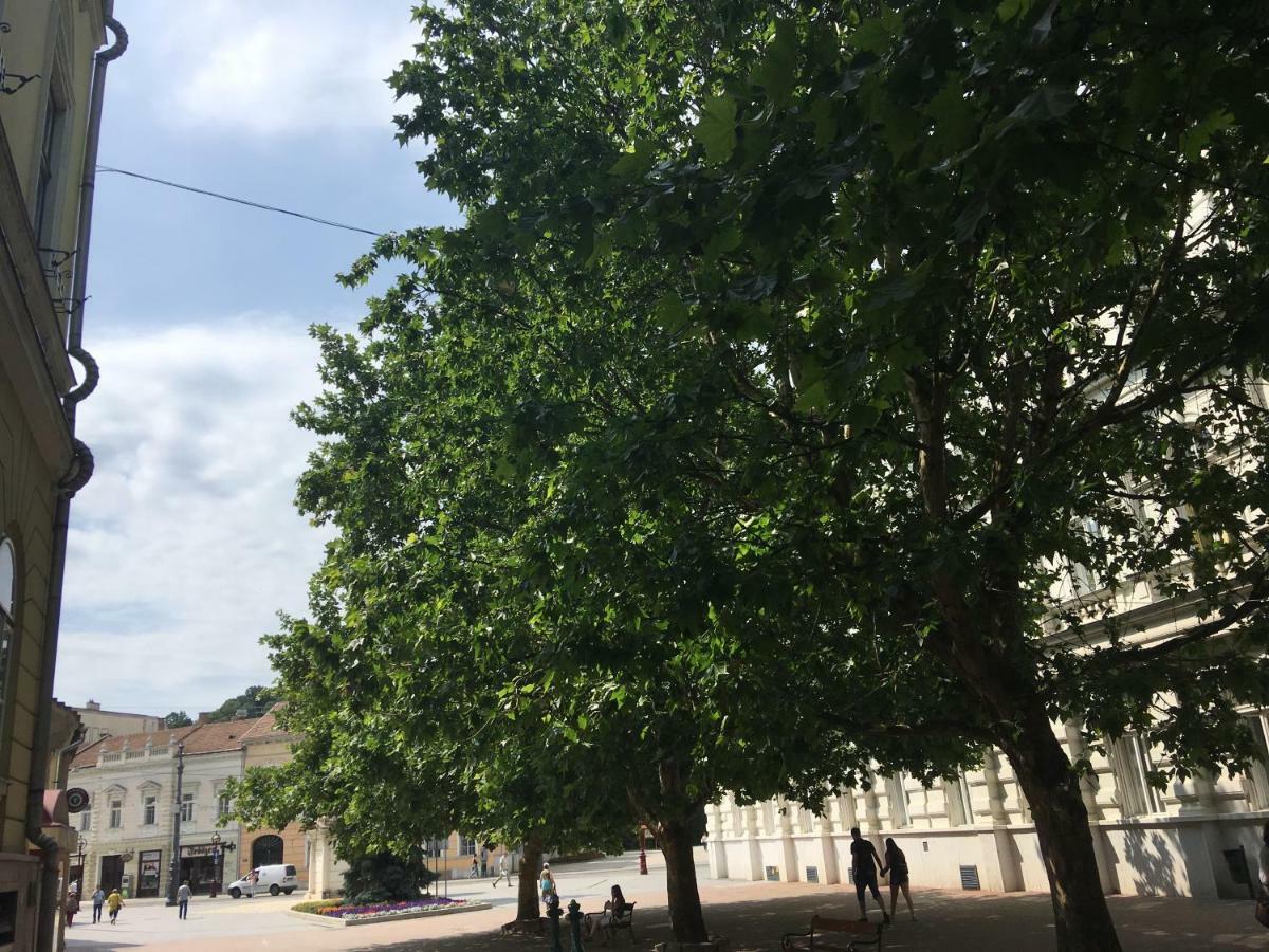 Mse Apartman Mişcolţ Exterior foto